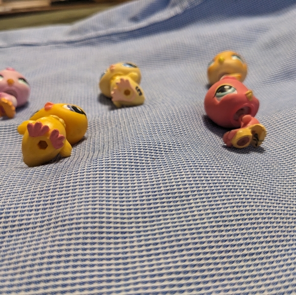 Birds 975, 1995, 2463 RARE, 497, 976 - Picture 5 of 10